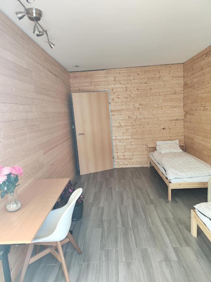 Erdgeschoss Wohnung Nahe Flughafen 维也纳 外观 照片